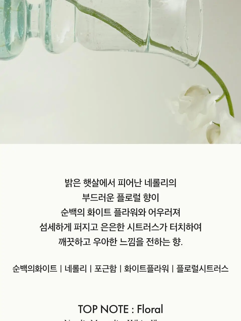 [Gift] 아닐로 오 드 퍼퓸 50ml 8종 택1 상세페이지 32